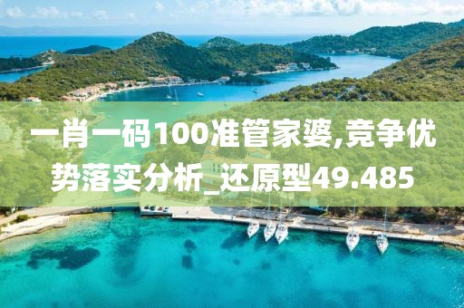 一肖一码100准管家婆,竞争优势落实分析_还原型49.485
