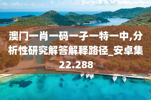 澳门一肖一码一孑一特一中,分析性研究解答解释路径_安卓集22.288