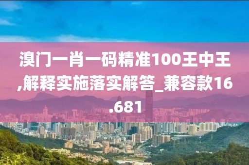 溴门一肖一码精准100王中王,解释实施落实解答_兼容款16.681