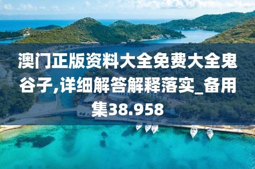 澳门正版资料大全免费大全鬼谷子,详细解答解释落实_备用集38.958