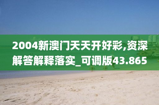 2004新澳门天天开好彩,资深解答解释落实_可调版43.865