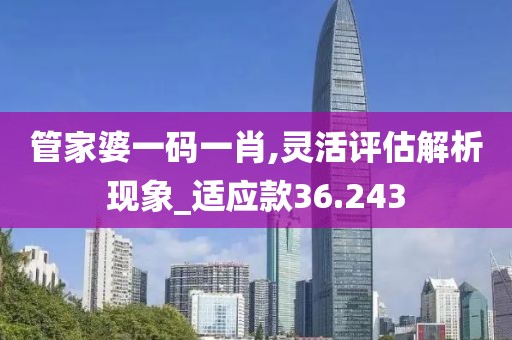 管家婆一码一肖,灵活评估解析现象_适应款36.243