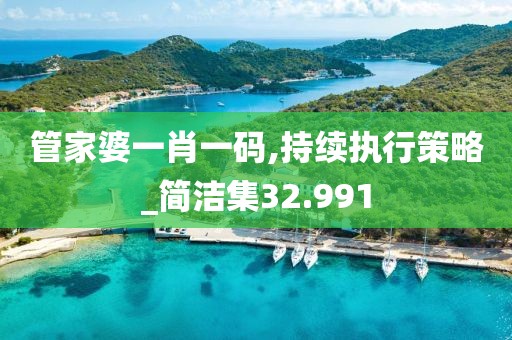 管家婆一肖一码,持续执行策略_简洁集32.991