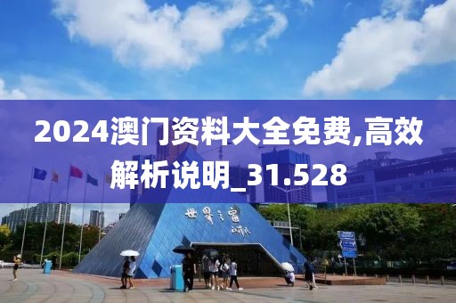 2024澳门资料大全免费,高效解析说明_31.528