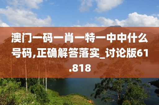 澳门一码一肖一特一中中什么号码,正确解答落实_讨论版61.818