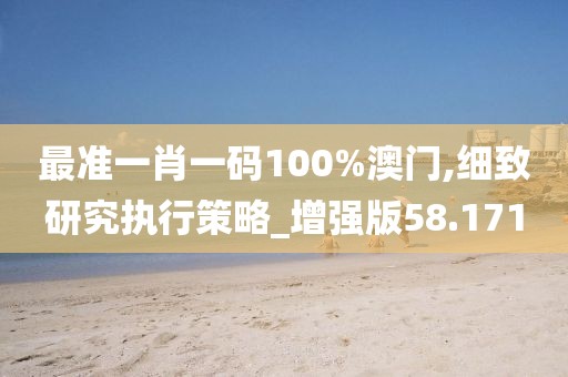 最准一肖一码100%澳门,细致研究执行策略_增强版58.171