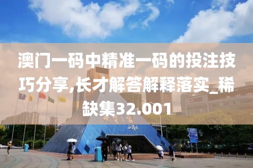 澳门一码中精准一码的投注技巧分享,长才解答解释落实_稀缺集32.001
