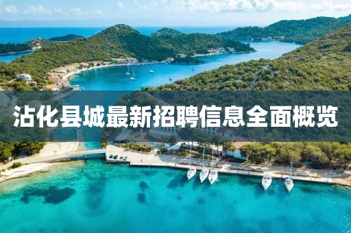 沾化县城最新招聘信息全面概览
