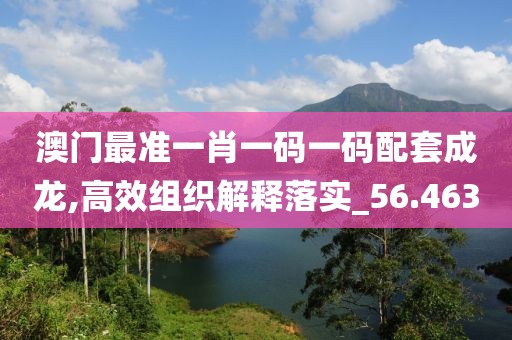 澳门最准一肖一码一码配套成龙,高效组织解释落实_56.463