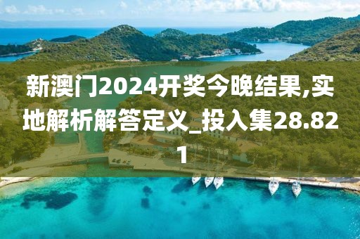 新澳门2024开奖今晚结果,实地解析解答定义_投入集28.821