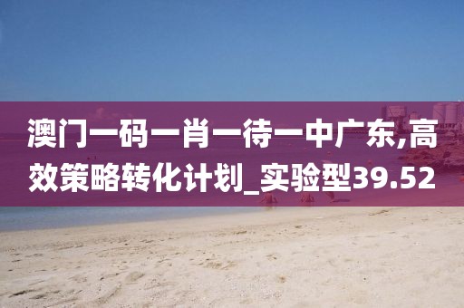 澳门一码一肖一待一中广东,高效策略转化计划_实验型39.52