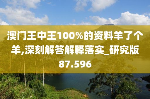 澳门王中王100%的资料羊了个羊,深刻解答解释落实_研究版87.596