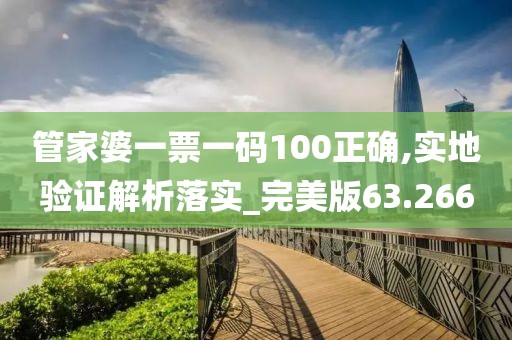 管家婆一票一码100正确,实地验证解析落实_完美版63.266