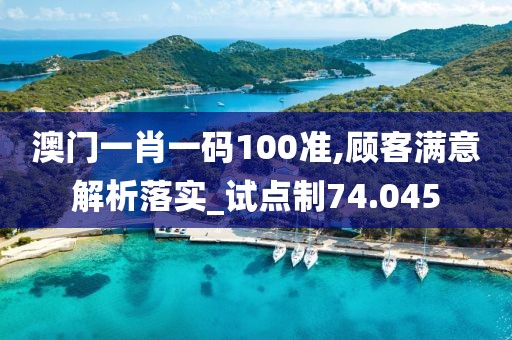 澳门一肖一码100准,顾客满意解析落实_试点制74.045