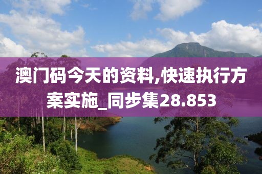 澳门码今天的资料,快速执行方案实施_同步集28.853