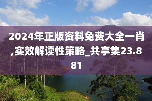 2024年正版资料免费大全一肖,实效解读性策略_共享集23.881