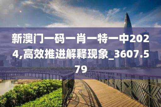新澳门一码一肖一特一中2024,高效推进解释现象_3607.579