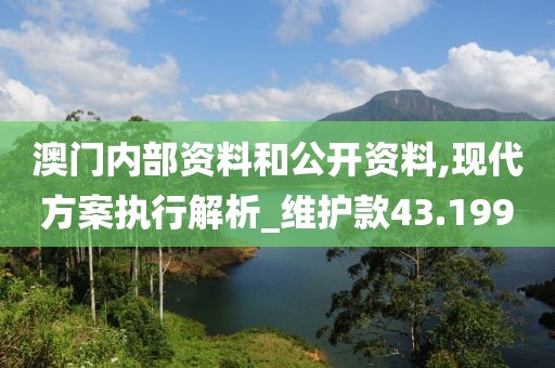 澳门内部资料和公开资料,现代方案执行解析_维护款43.199