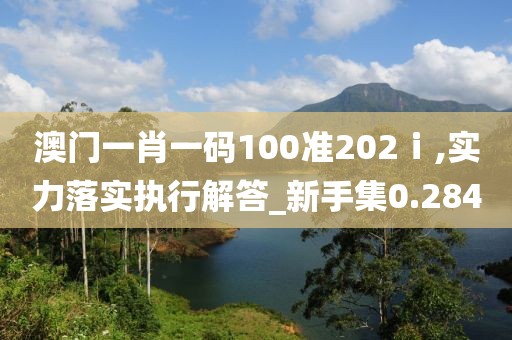 澳门一肖一码100准202ⅰ,实力落实执行解答_新手集0.284