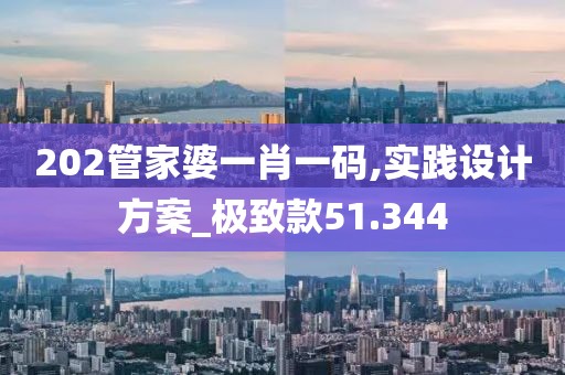 202管家婆一肖一码,实践设计方案_极致款51.344