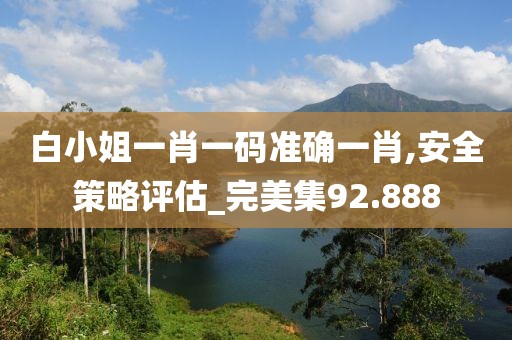 白小姐一肖一码准确一肖,安全策略评估_完美集92.888