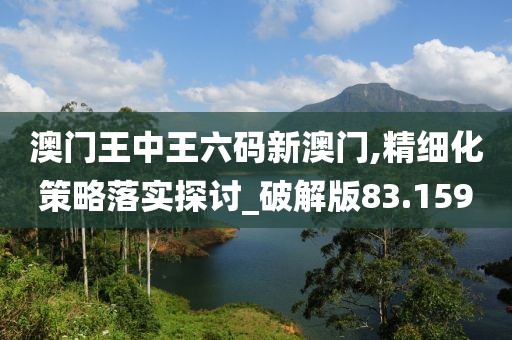 澳门王中王六码新澳门,精细化策略落实探讨_破解版83.159
