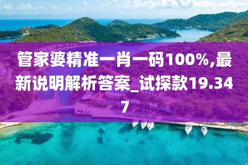 管家婆精准一肖一码100%,最新说明解析答案_试探款19.347