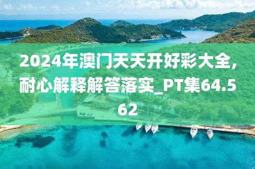 2024年澳门天天开好彩大全,耐心解释解答落实_PT集64.562