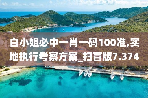 白小姐必中一肖一码100准,实地执行考察方案_扫盲版7.374