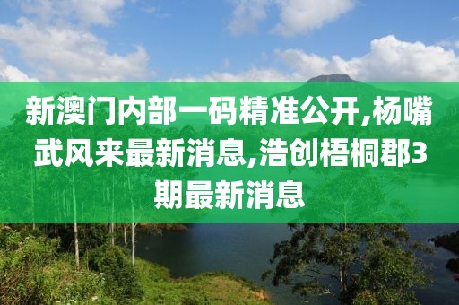 新澳门内部一码精准公开,杨嘴武风来最新消息,浩创梧桐郡3期最新消息
