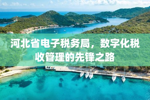 河北省电子税务局，数字化税收管理的先锋之路