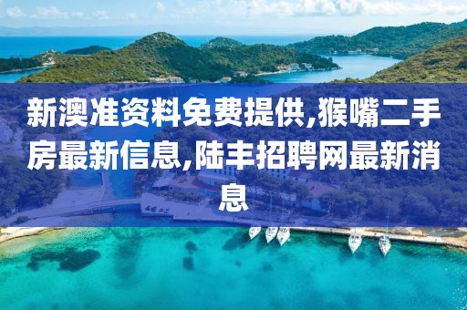 新澳准资料免费提供,猴嘴二手房最新信息,陆丰招聘网最新消息