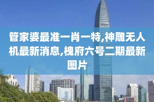 管家婆最准一肖一特,神雕无人机最新消息,槐府六号二期最新图片