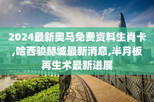 2024最新奥马免费资料生肖卡,哈西骏赫城最新消息,半月板再生术最新进展