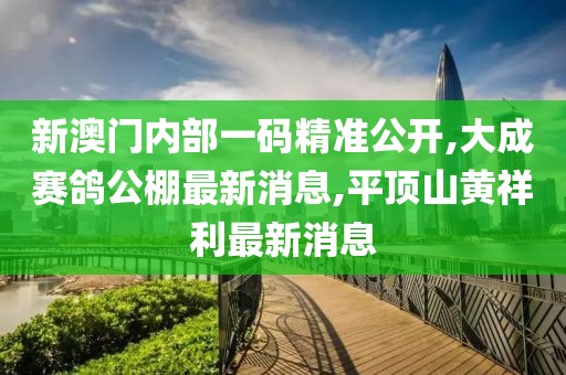 新澳门内部一码精准公开,大成赛鸽公棚最新消息,平顶山黄祥利最新消息