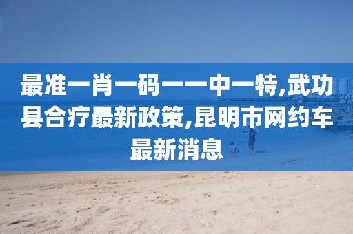 最准一肖一码一一中一特,武功县合疗最新政策,昆明市网约车最新消息