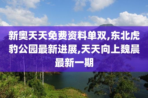 新奥天天免费资料单双,东北虎豹公园最新进展,天天向上魏晨最新一期
