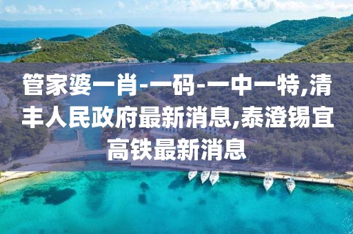 管家婆一肖-一码-一中一特,清丰人民政府最新消息,泰澄锡宜高铁最新消息