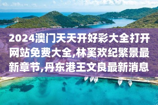 2024澳门天天开好彩大全打开网站免费大全,林奚欢纪繁景最新章节,丹东港王文良最新消息