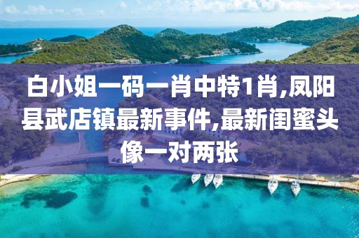 白小姐一码一肖中特1肖,凤阳县武店镇最新事件,最新闺蜜头像一对两张