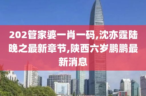 202管家婆一肖一码,沈亦霆陆晚之最新章节,陕西六岁鹏鹏最新消息