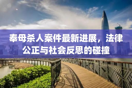 奉母杀人案件最新进展，法律公正与社会反思的碰撞