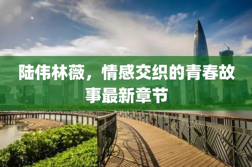 陆伟林薇，情感交织的青春故事最新章节