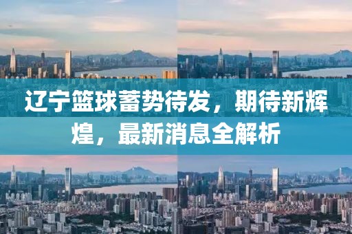 辽宁篮球蓄势待发，期待新辉煌，最新消息全解析