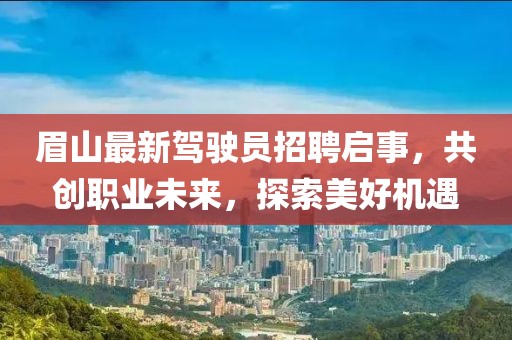 眉山最新驾驶员招聘启事，共创职业未来，探索美好机遇