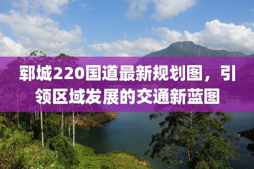 郓城220国道最新规划图，引领区域发展的交通新蓝图