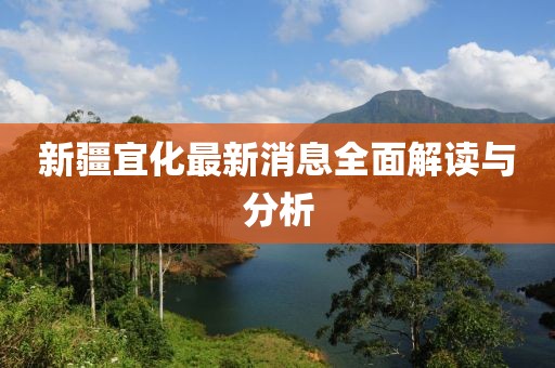 新疆宜化最新消息全面解读与分析