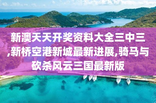新澳天天开奖资料大全三中三,新桥空港新城最新进展,骑马与砍杀风云三国最新版