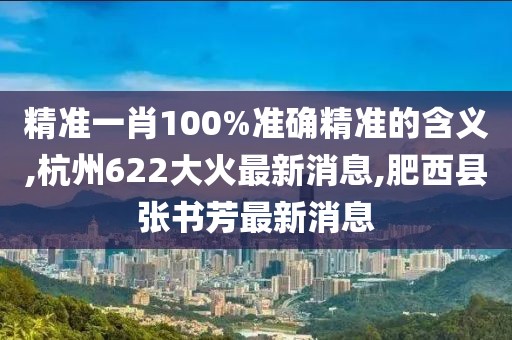 精准一肖100%准确精准的含义,杭州622大火最新消息,肥西县张书芳最新消息