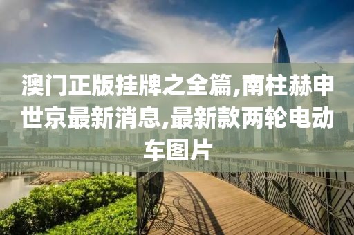 澳门正版挂牌之全篇,南柱赫申世京最新消息,最新款两轮电动车图片